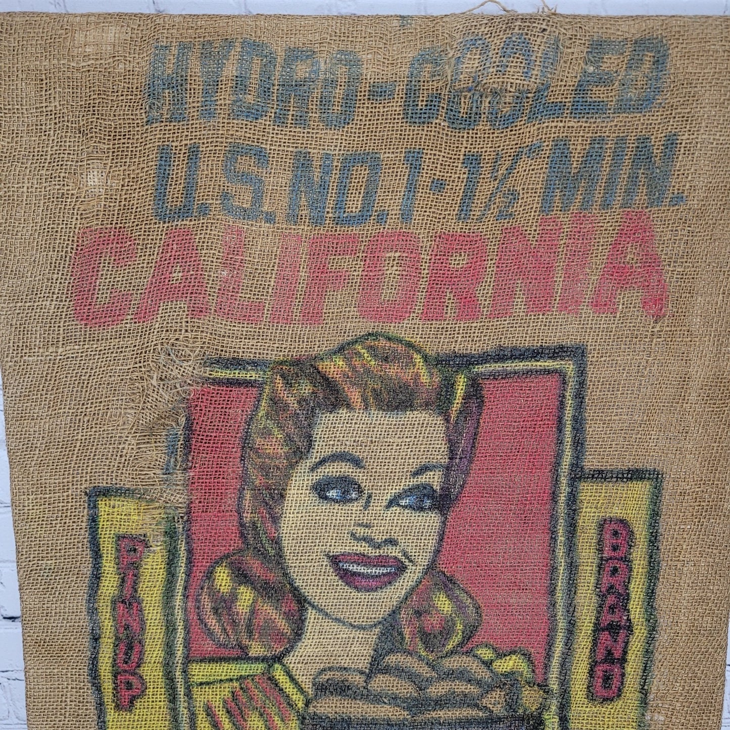 VTG Lot Of 3 CA Pin Up Lehr Bros Roddy Boy Galaxie Potato Burlap Sack Art USA