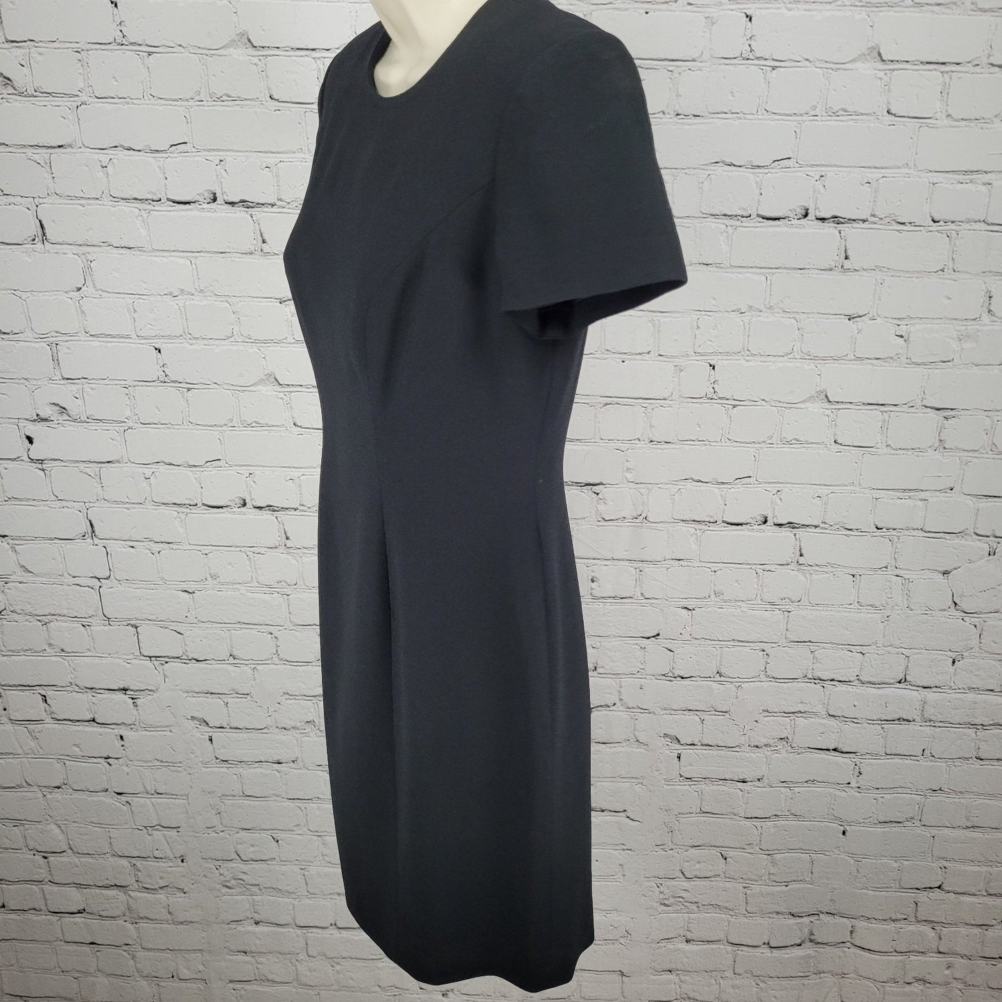 Preview Collection Black Short Sleeve Zip Lined Back Slit Sheath Dress Size 4P