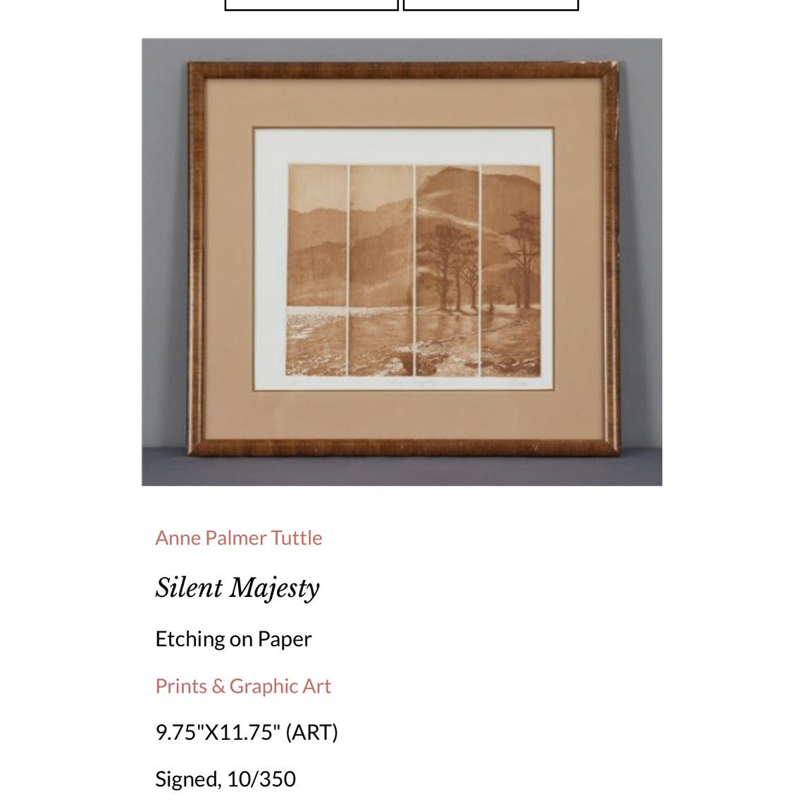 Silent Majesty Etching On Paper Signed By Anne Tuttle Framed And Matted 22”X21”