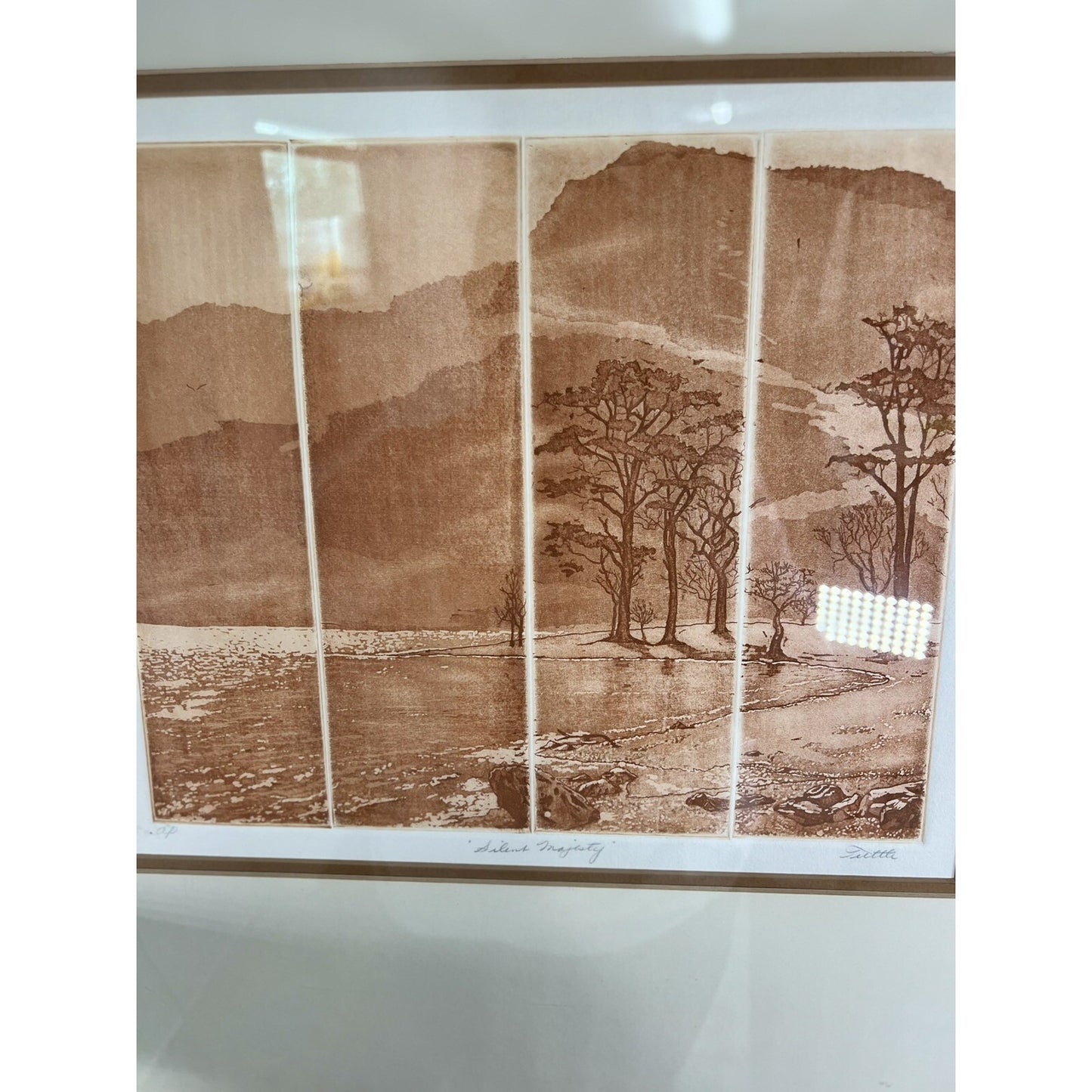 Silent Majesty Etching On Paper Signed By Anne Tuttle Framed And Matted 22”X21”