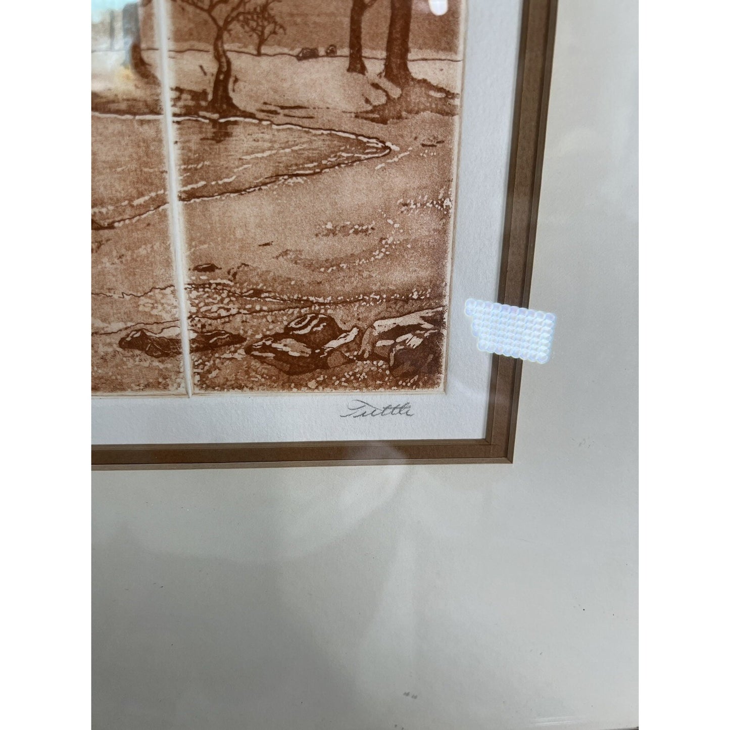 Silent Majesty Etching On Paper Signed By Anne Tuttle Framed And Matted 22”X21”