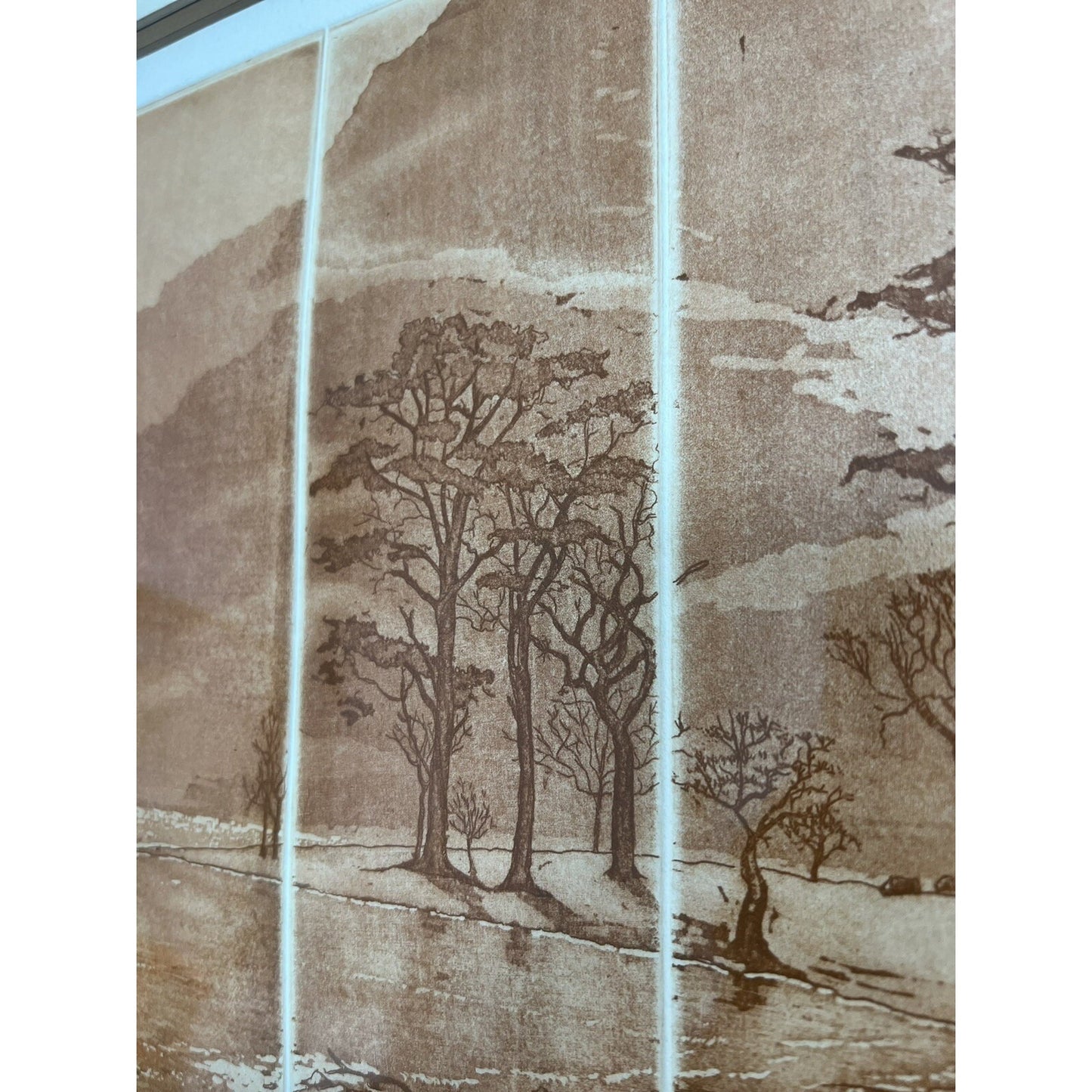 Silent Majesty Etching On Paper Signed By Anne Tuttle Framed And Matted 22”X21”