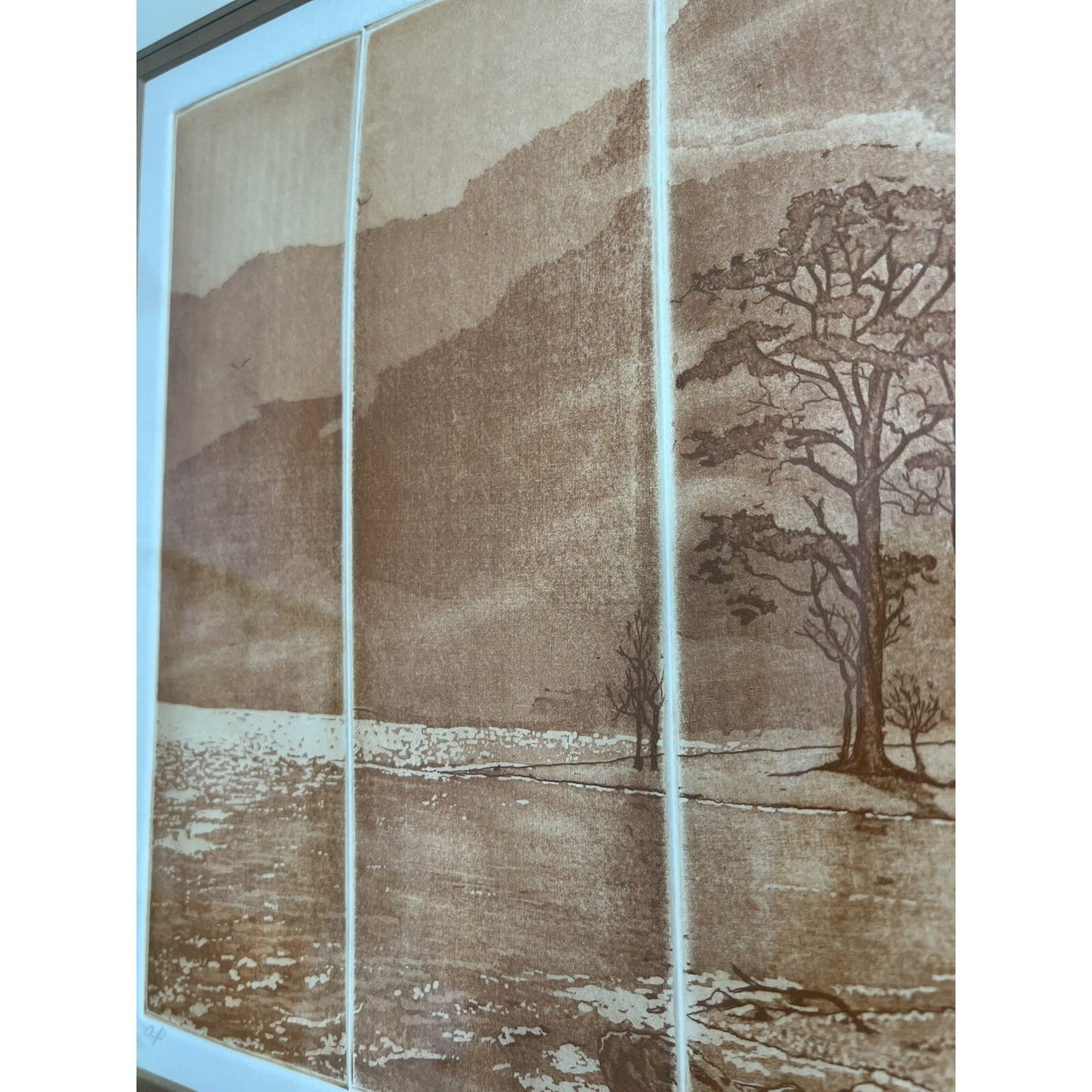 Silent Majesty Etching On Paper Signed By Anne Tuttle Framed And Matted 22”X21”