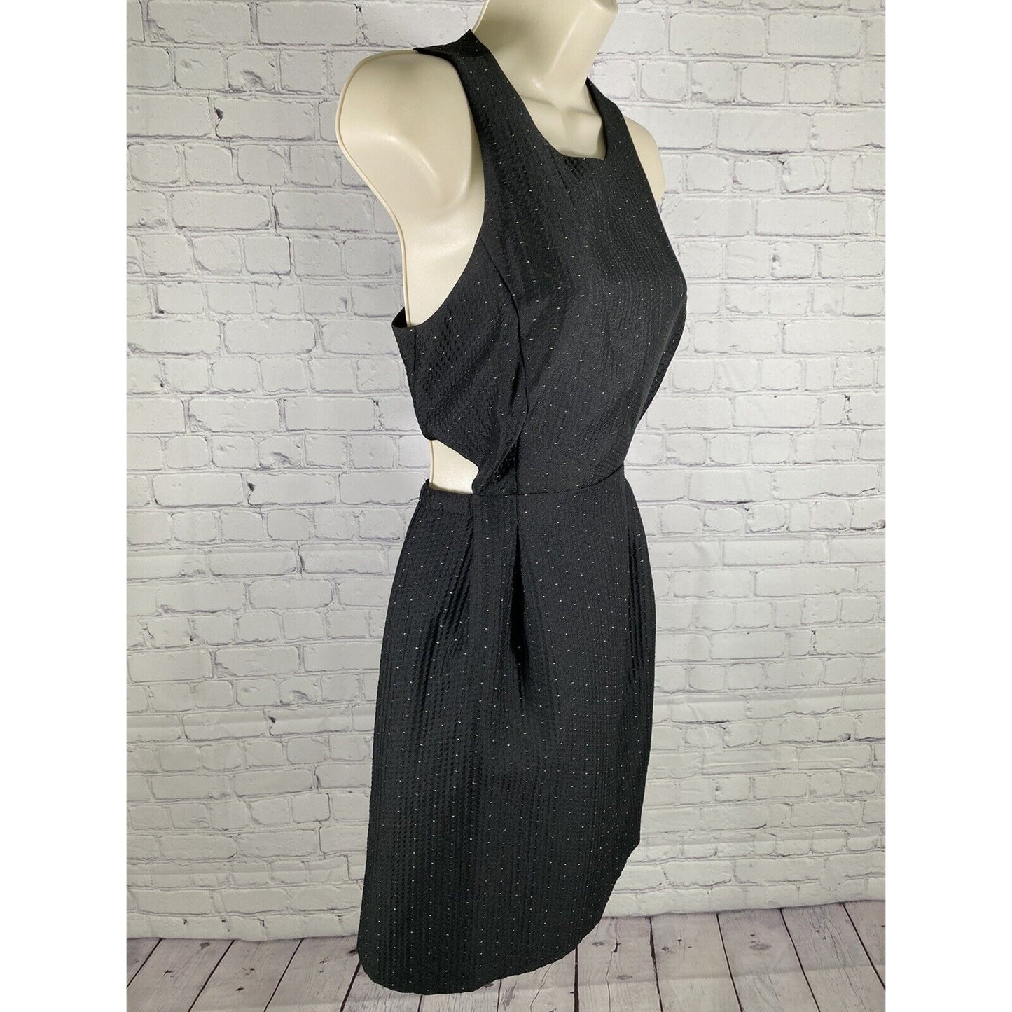 Madewell Black Gold Side Cutout Sleeveless Back Zip A Line Dress Pockets Size 2