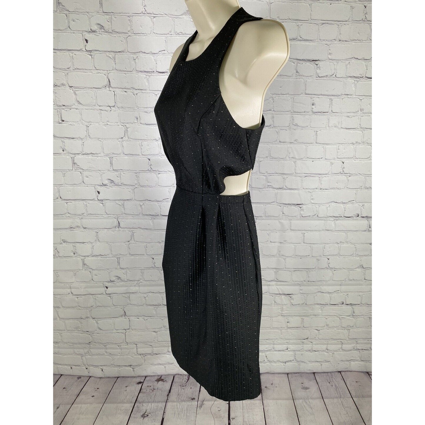 Madewell Black Gold Side Cutout Sleeveless Back Zip A Line Dress Pockets Size 2