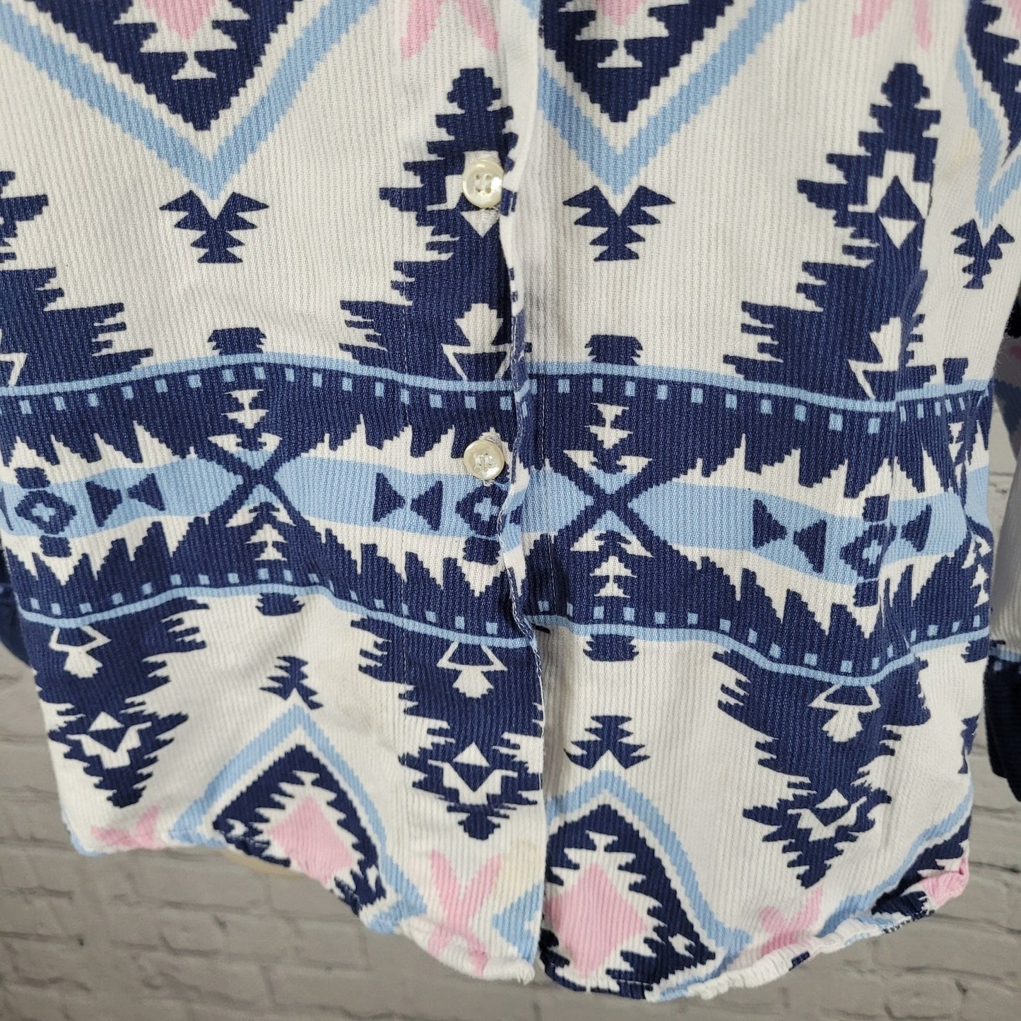 VTG Southeast Canyon Blue Pink Aztec Cotton Corduroy Button Up Shirt Large L