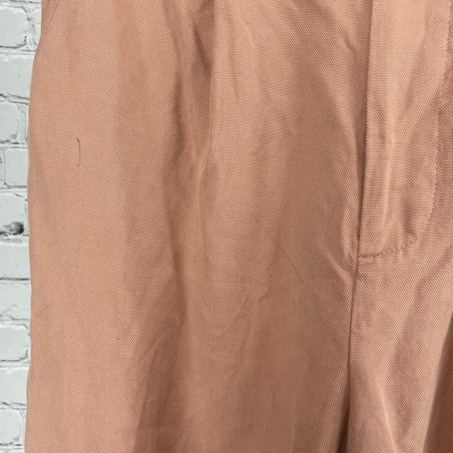 Everlane Blush Pink Pleated Lightweight Pockets Chino Cuffed Shorts Size 0
