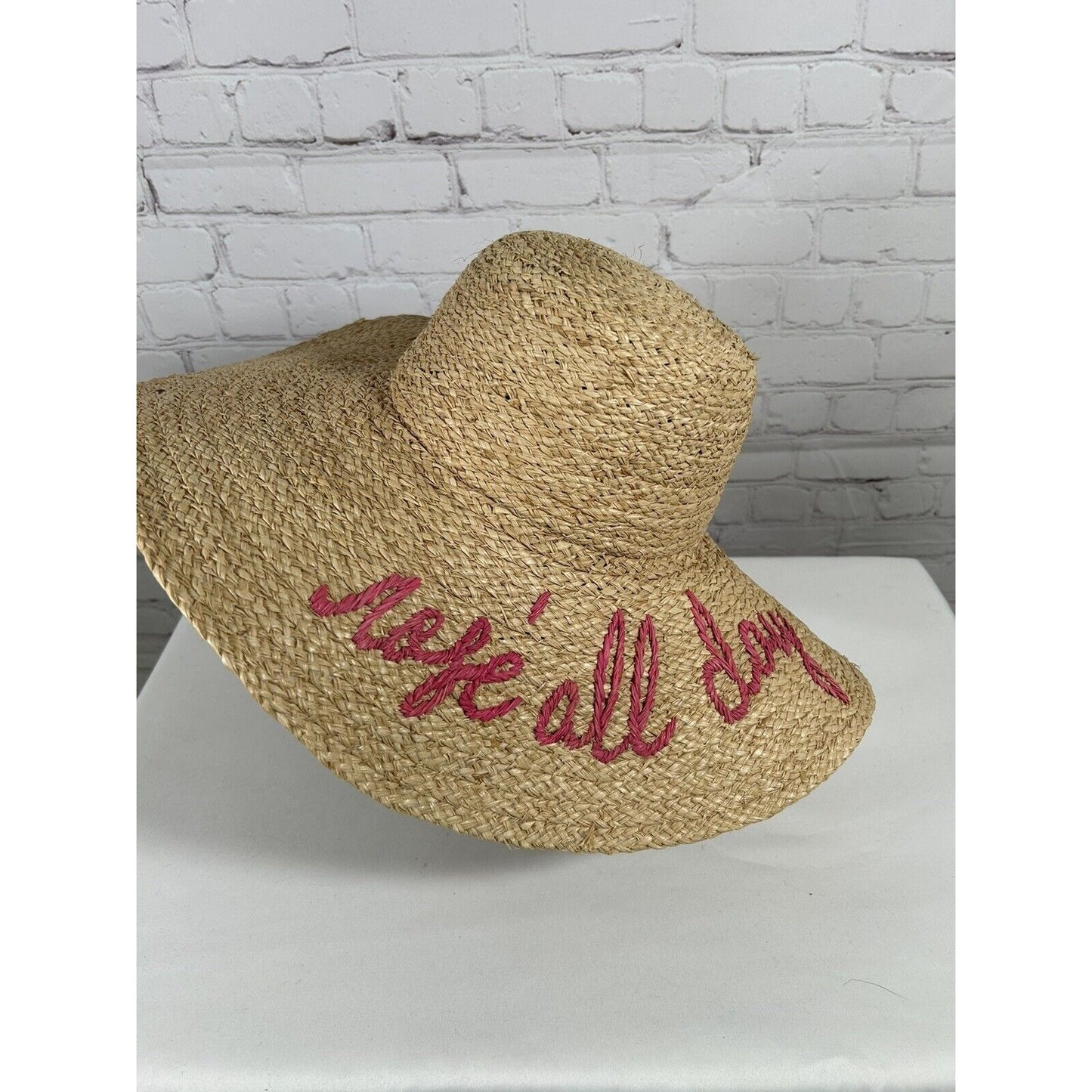 Hat Attack Rosé All Day 100% Raffia Straw Floppy Sun Hat Women’s O/S One Size