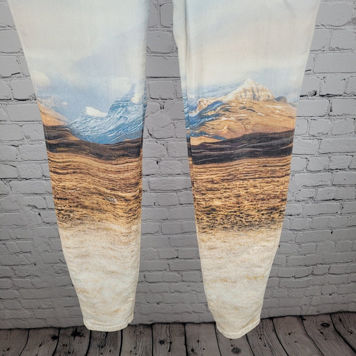 HUGO BOSS Orange Label Landscape Print Low Rise Skinny Jeans Size 27 (27x32)