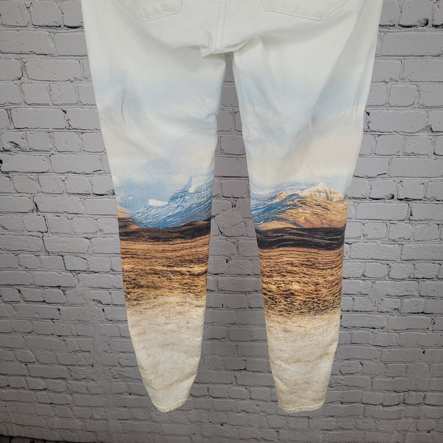 HUGO BOSS Orange Label Landscape Print Low Rise Skinny Jeans Size 27 (27x32)