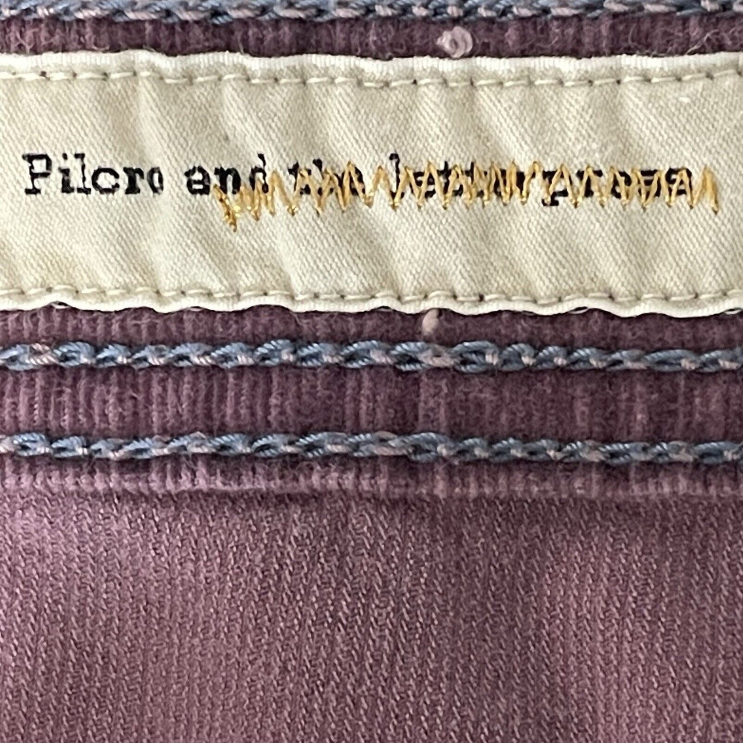 Pilcro Anthropologie Purple Corduroy Velvet Skinny Stretch Pants Size 31 (31x29)
