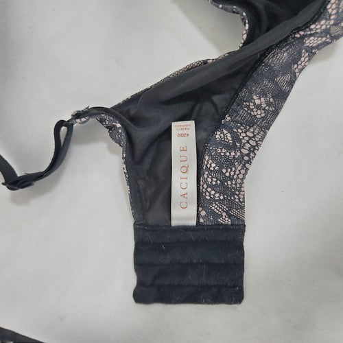 Cacique Black Blush Lace Print Lightly Lined Underwire Balconette Bra 42DD