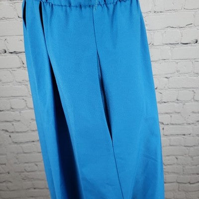 VTG Petites By Willi Blue Pleated Buttoned Short Sleeve A Line Dress USA 8