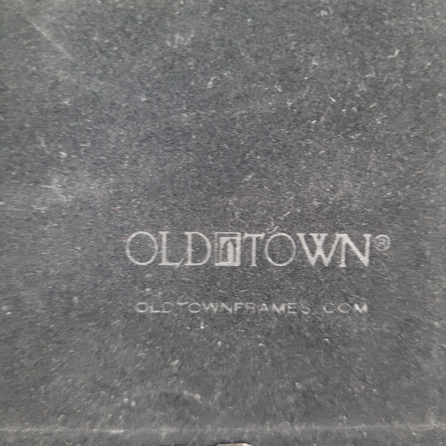 Robin McCoy Signed “Tropical Heat” Floral Plant Art Print Professionally Framed