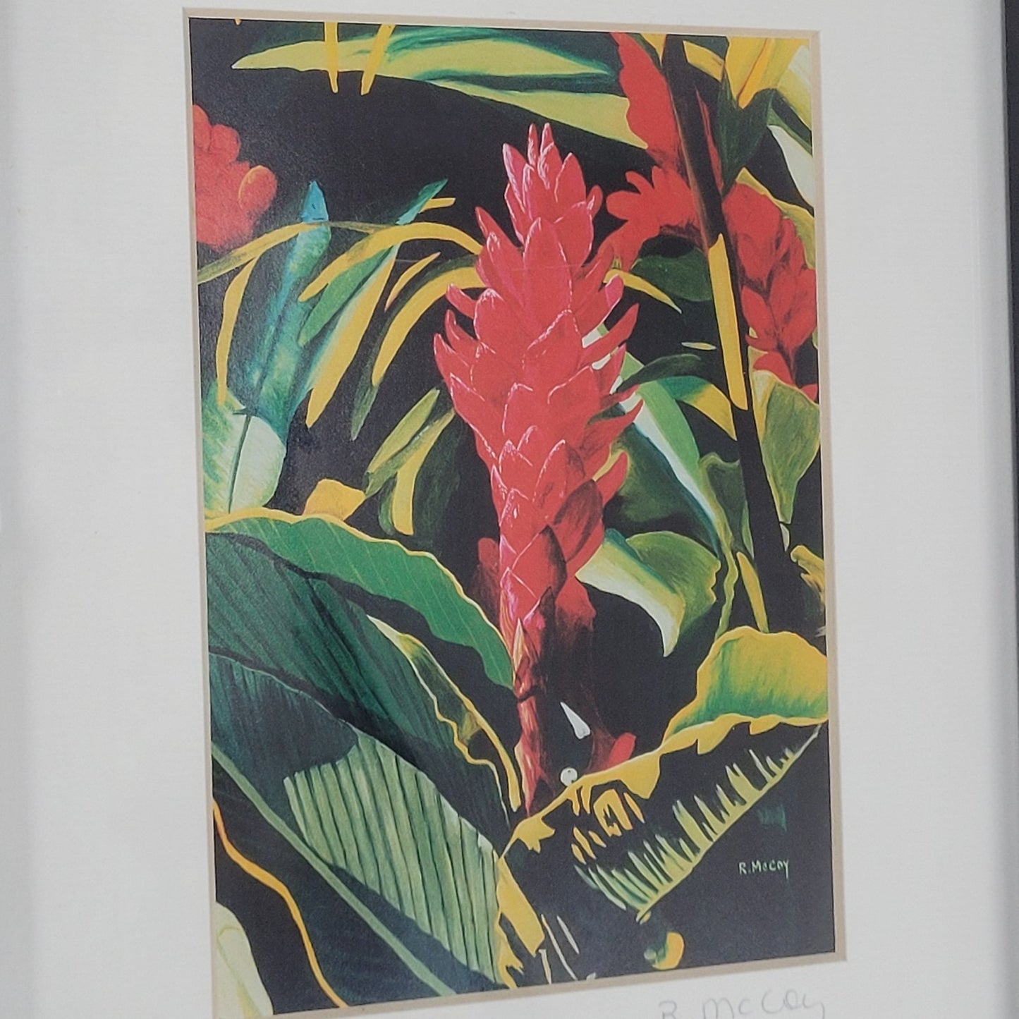 Robin McCoy Signed “Tropical Heat” Floral Plant Art Print Professionally Framed