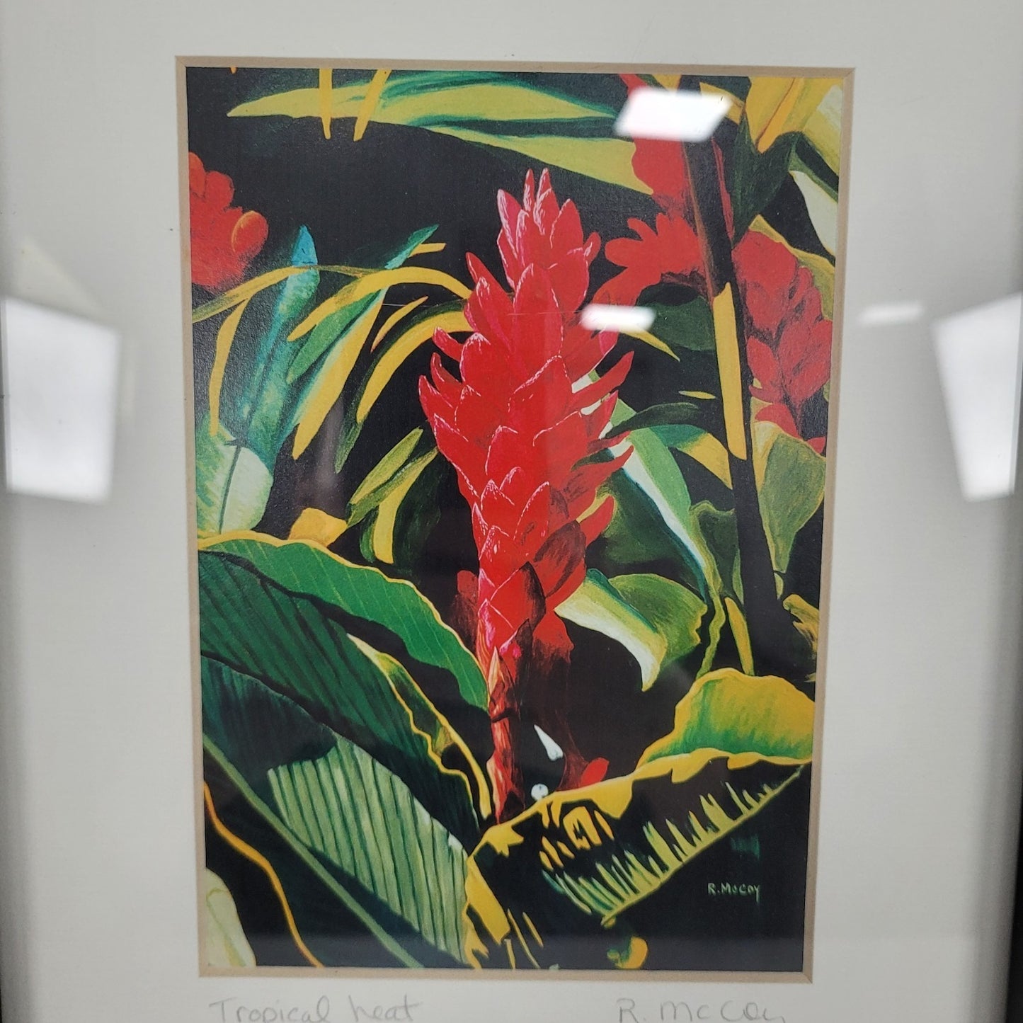 Robin McCoy Signed “Tropical Heat” Floral Plant Art Print Professionally Framed