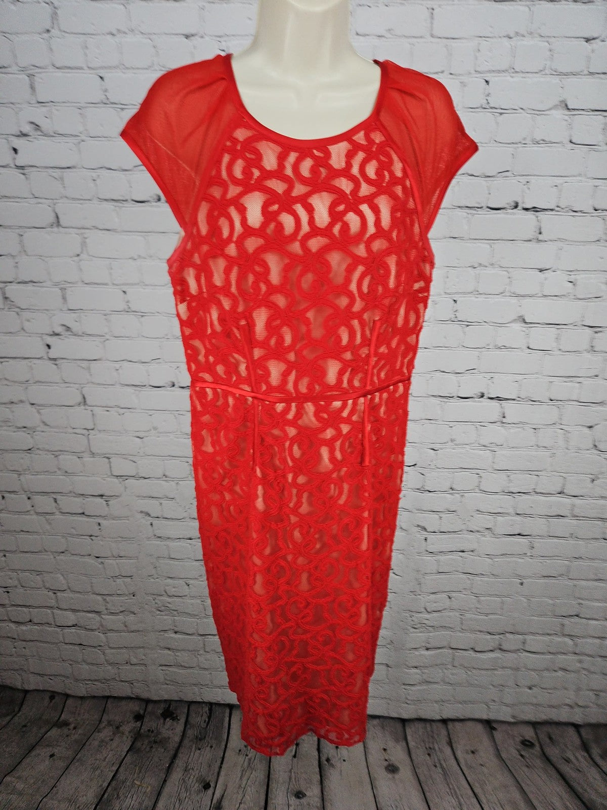Adrianna Papell Red Lace Illusion Mesh Cap Sleeve Lined Sheath Dress 12
