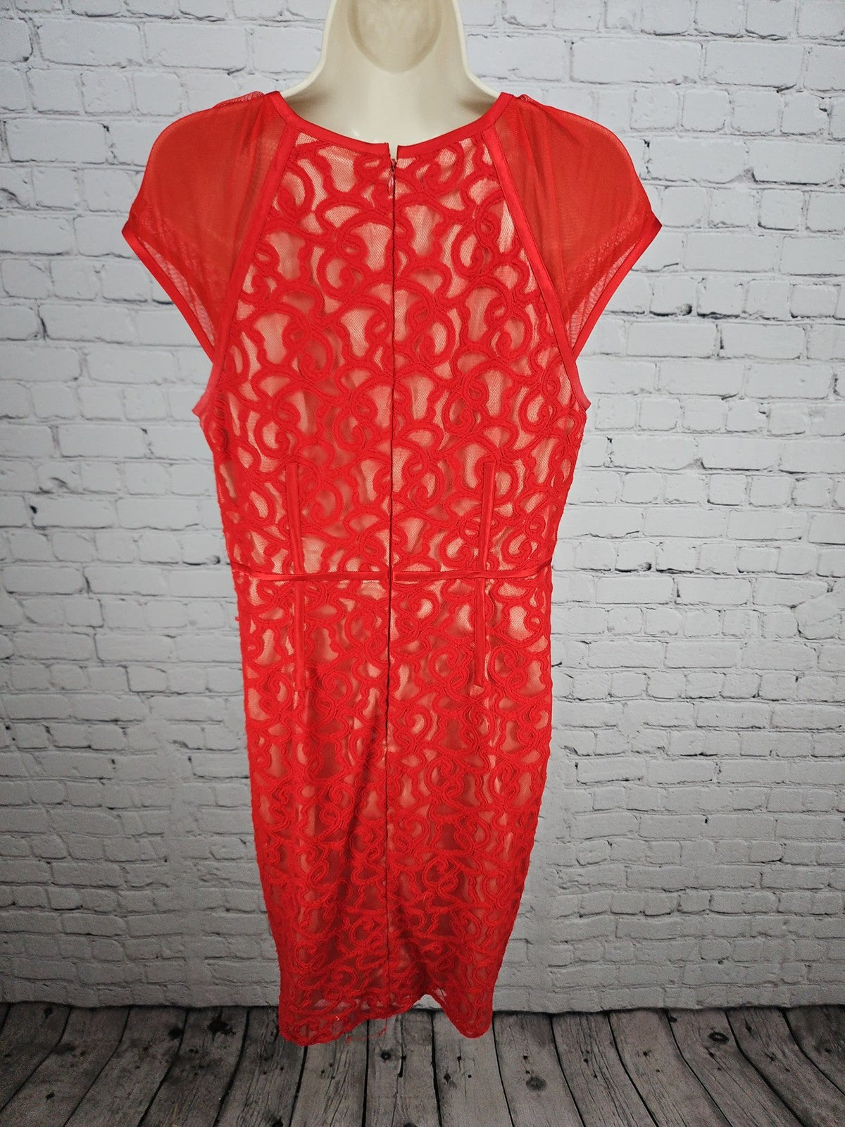 Adrianna Papell Red Lace Illusion Mesh Cap Sleeve Lined Sheath Dress 12