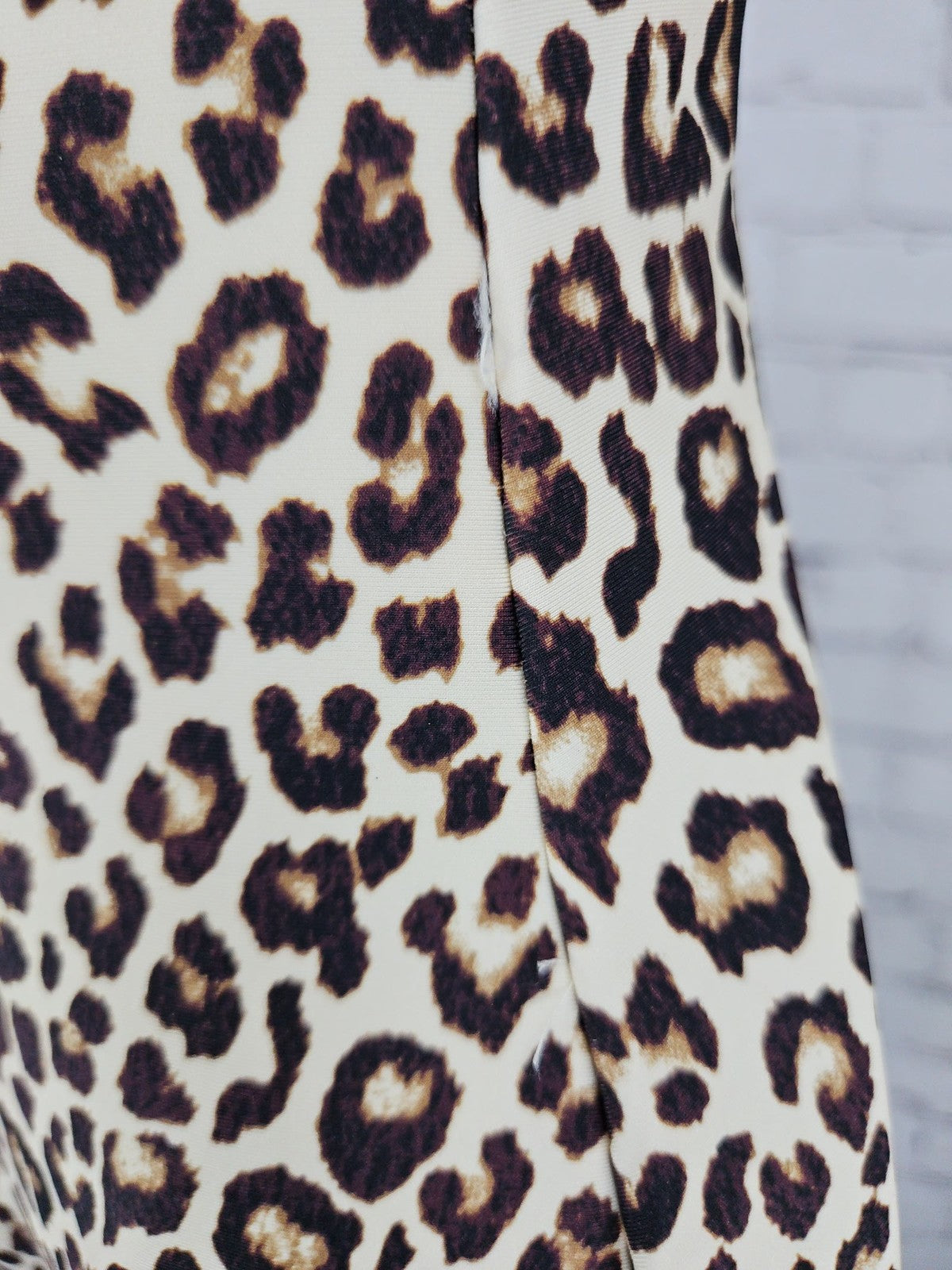 J.Crew Classic Sculpt Leopard Print V Neck One Piece Swimsuit 10