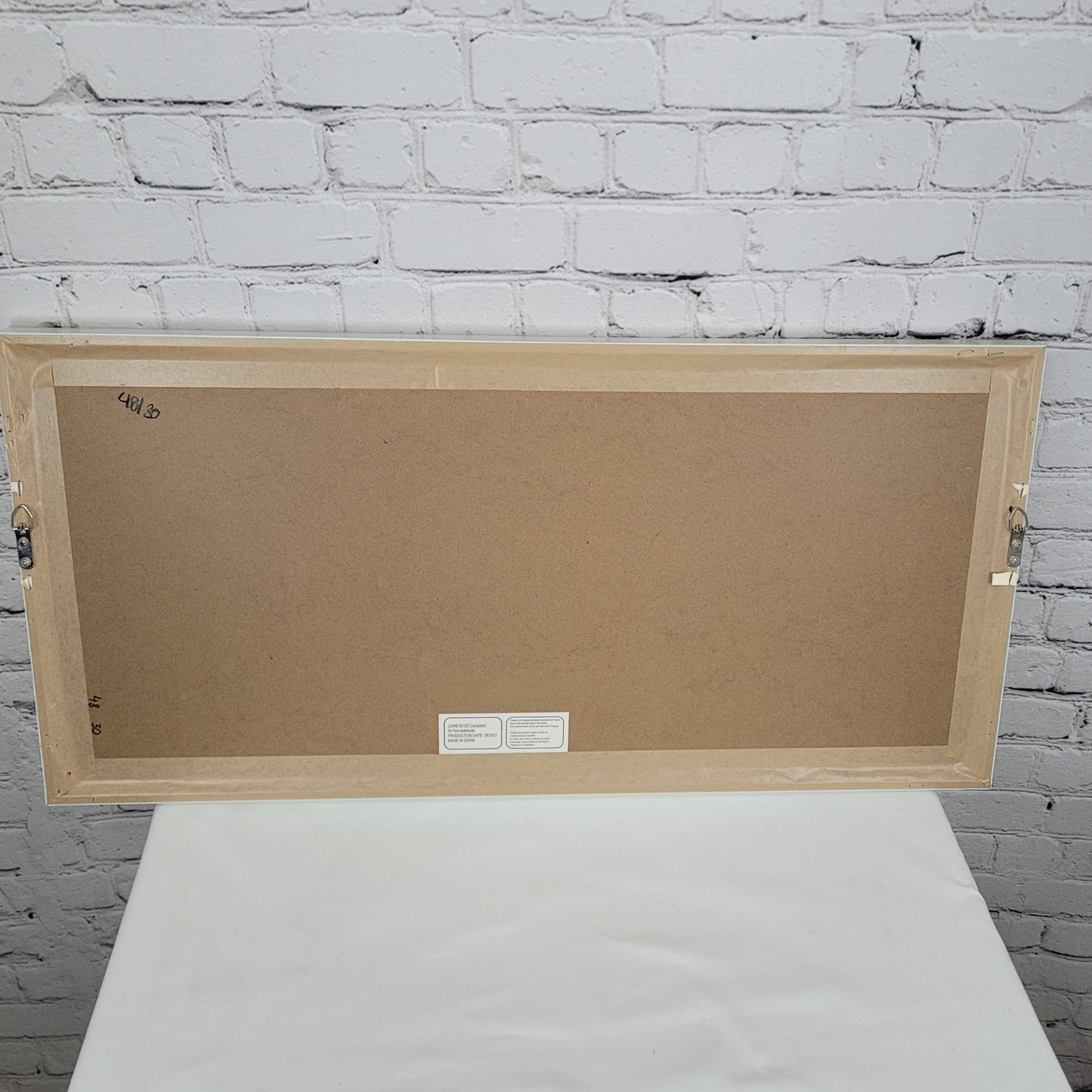 Eyre Tarney Watercolor Print Potted Plants Succulent White Framed Art 29"x14"