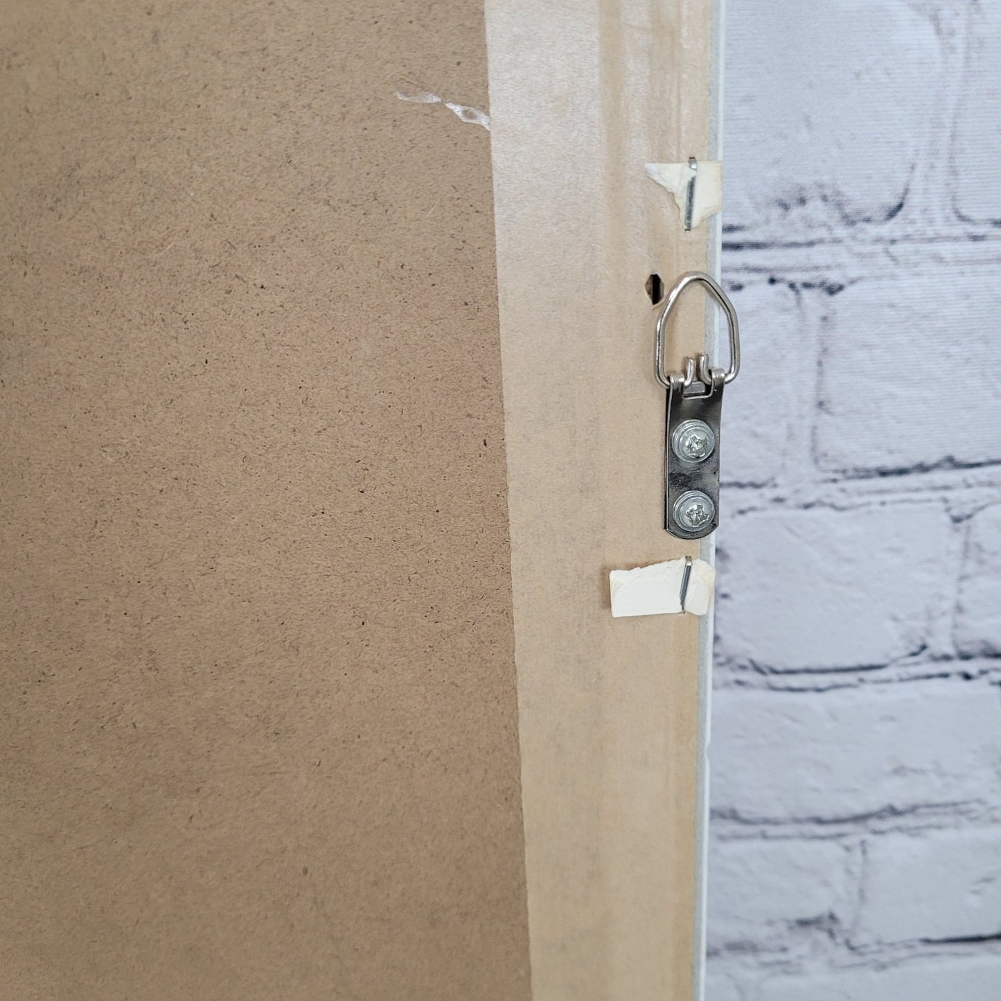 Eyre Tarney Watercolor Print Potted Plants Succulent White Framed Art 29"x14"