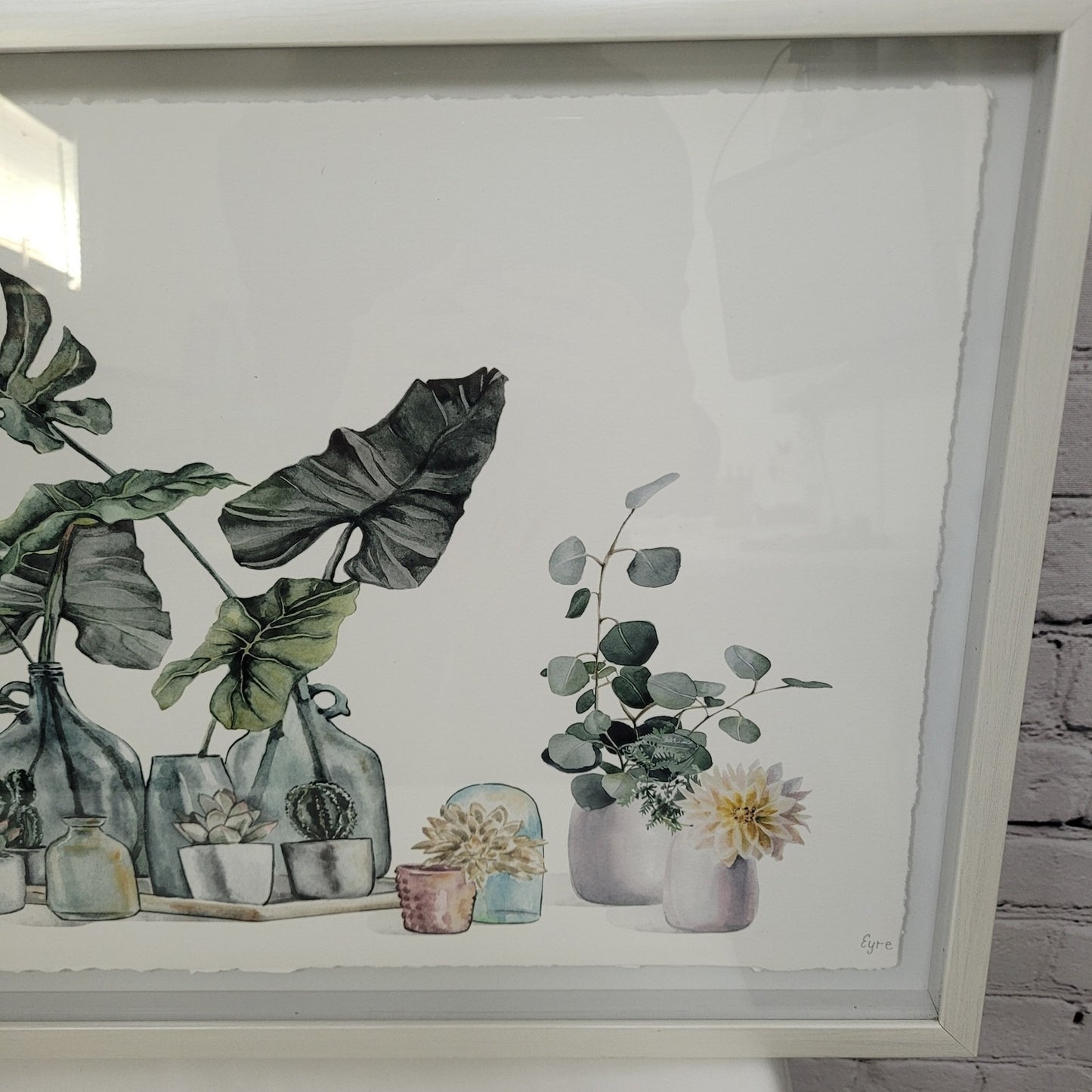 Eyre Tarney Watercolor Print Potted Plants Succulent White Framed Art 29"x14"