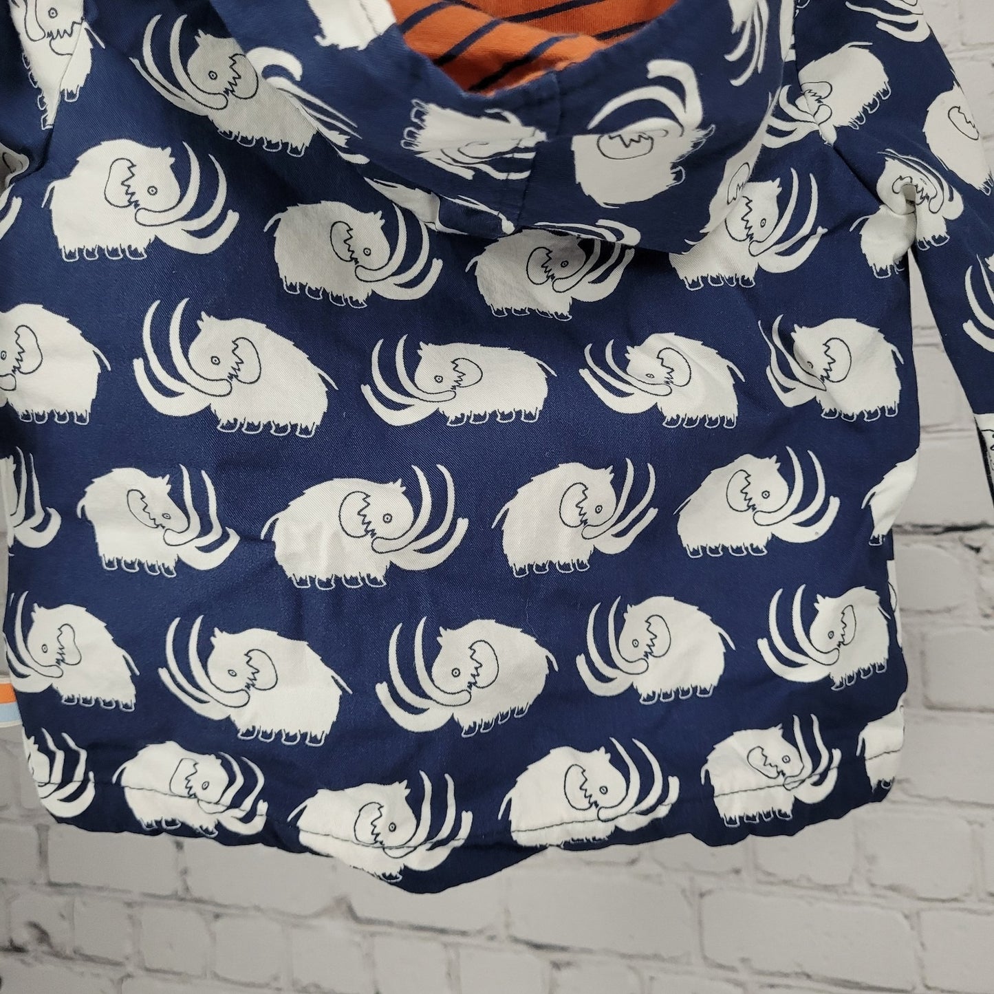 Loud + Proud Navy White 100% Organic Cotton Mammoth Hooded Zip Jacket Baby 3-6M