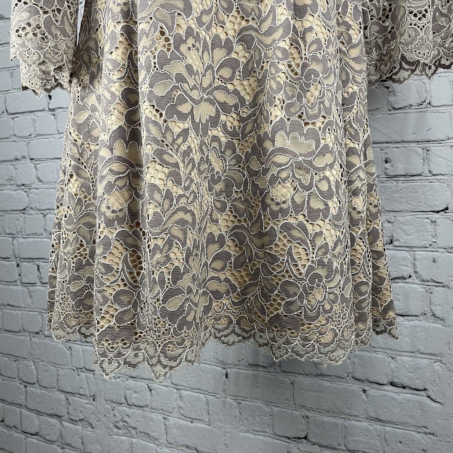 Eliza J Beige Floral Lace Long Bell Sleeve Pleated Lined Zipped Dress Size 4