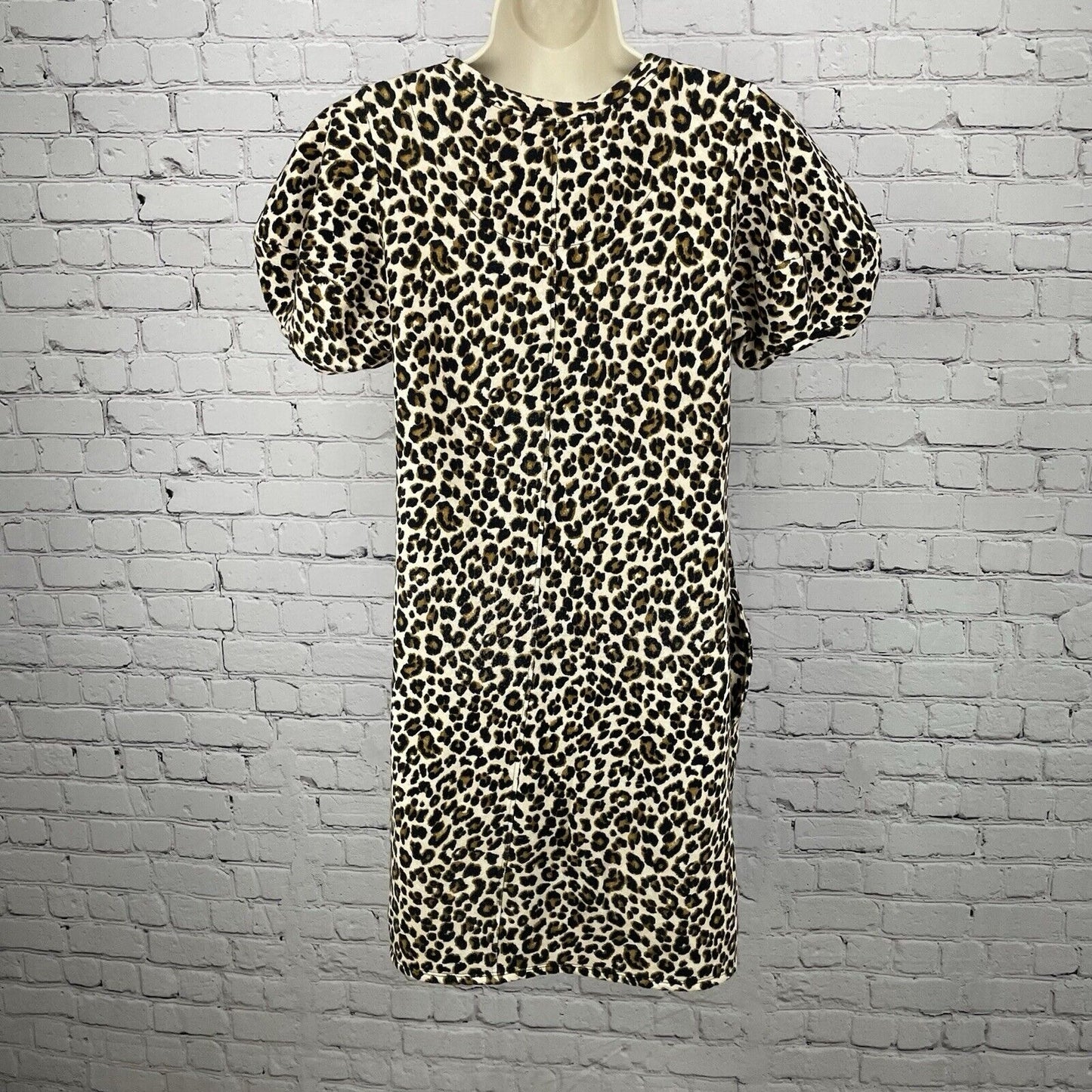Velvet By Graham Spencer Cream Leopard Puff Sleeve Dress USA Made Size Medium M