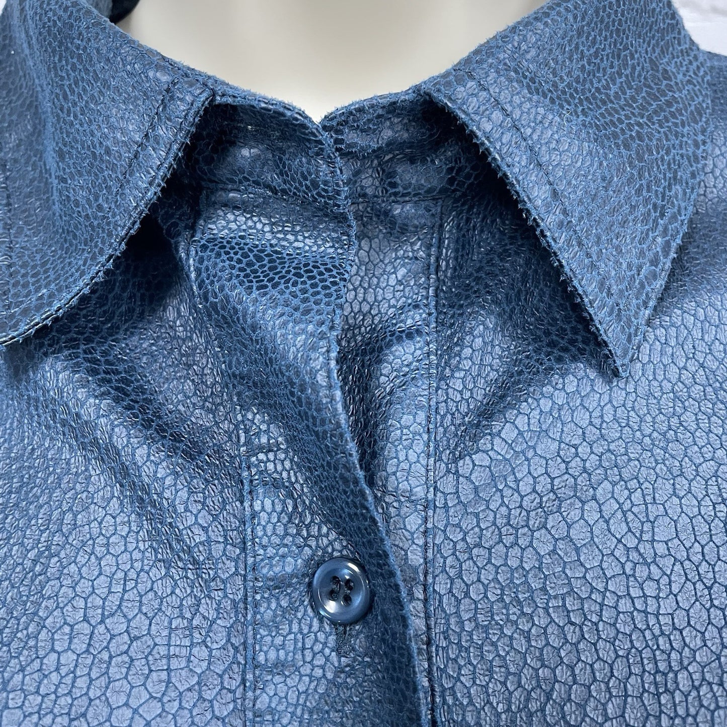 Chico’s Blue Snake Print Button Up Long Sleeve Shirt Collar Pockets Size 1 US 8