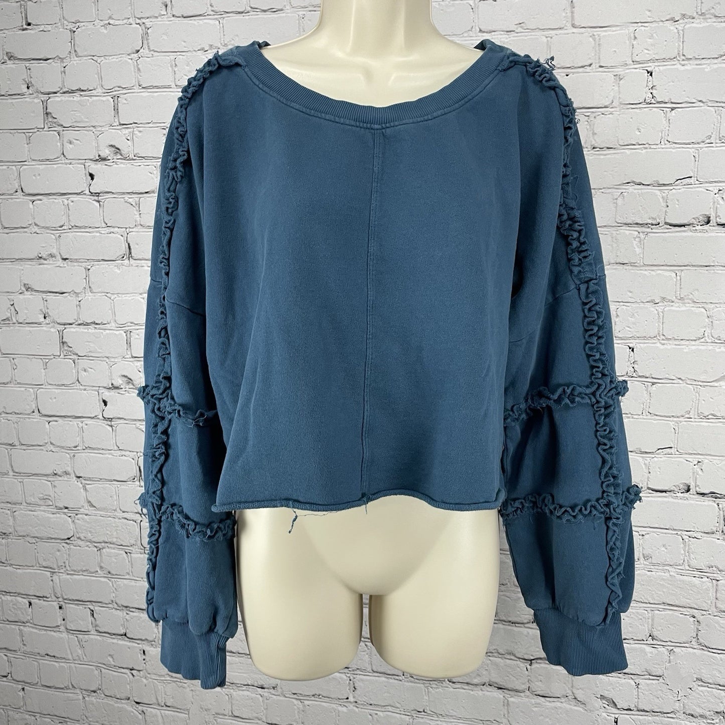 Saturday Sunday Anthropologie Blue Boxy Balloon Sleeve Sweatshirt Size Large L