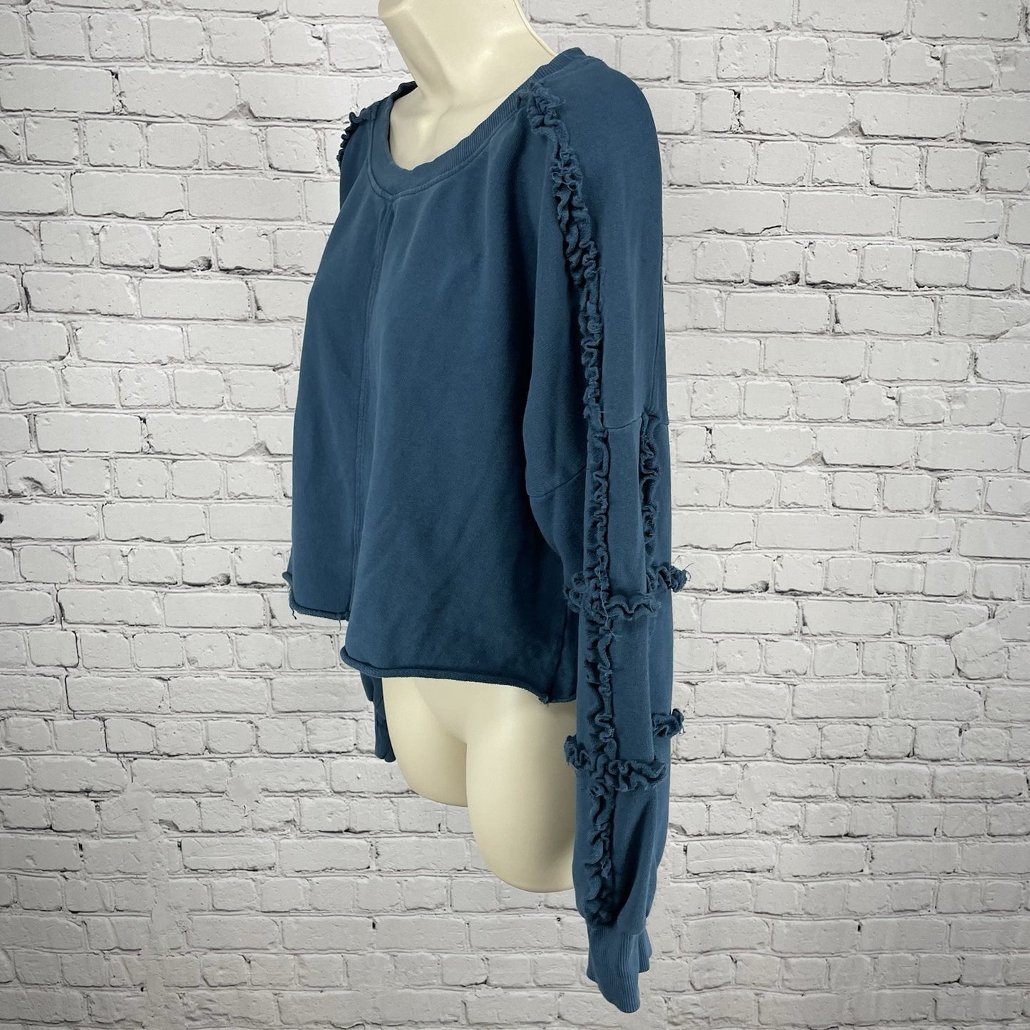Saturday Sunday Anthropologie Blue Boxy Balloon Sleeve Sweatshirt Size Large L