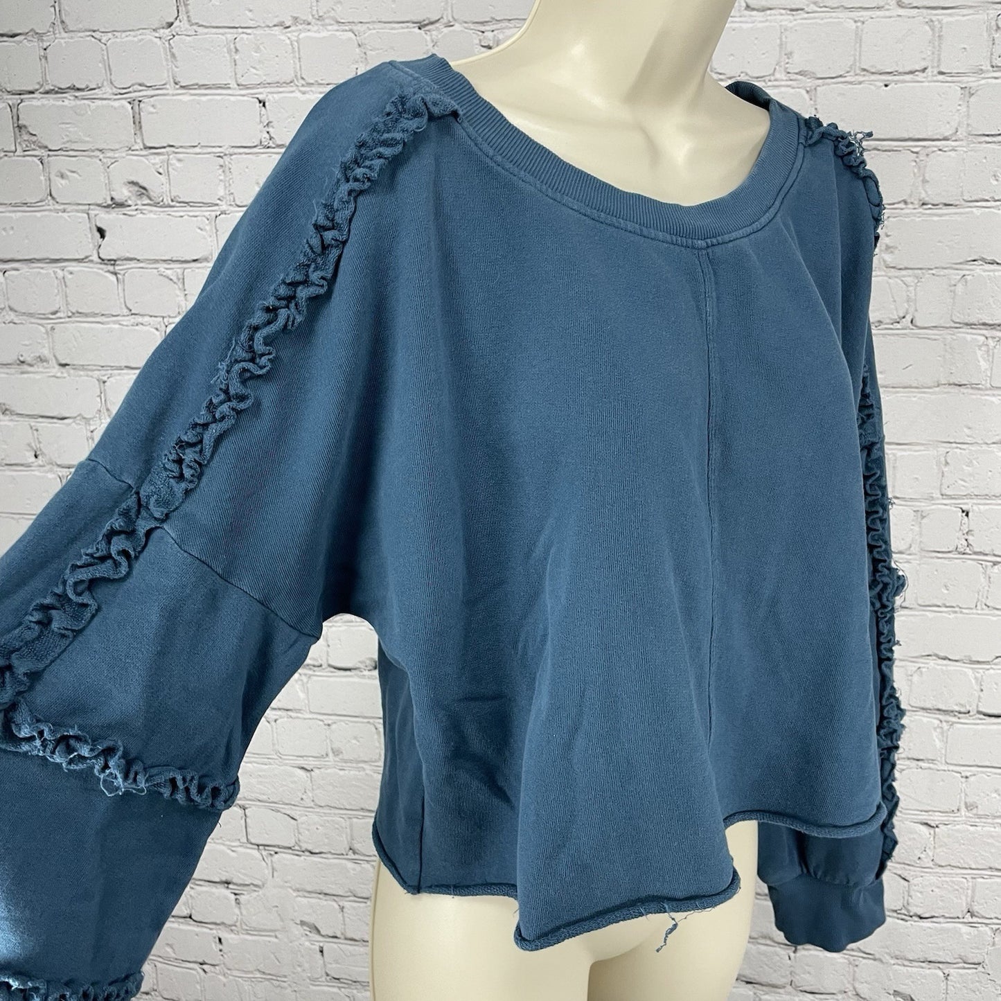 Saturday Sunday Anthropologie Blue Boxy Balloon Sleeve Sweatshirt Size Large L