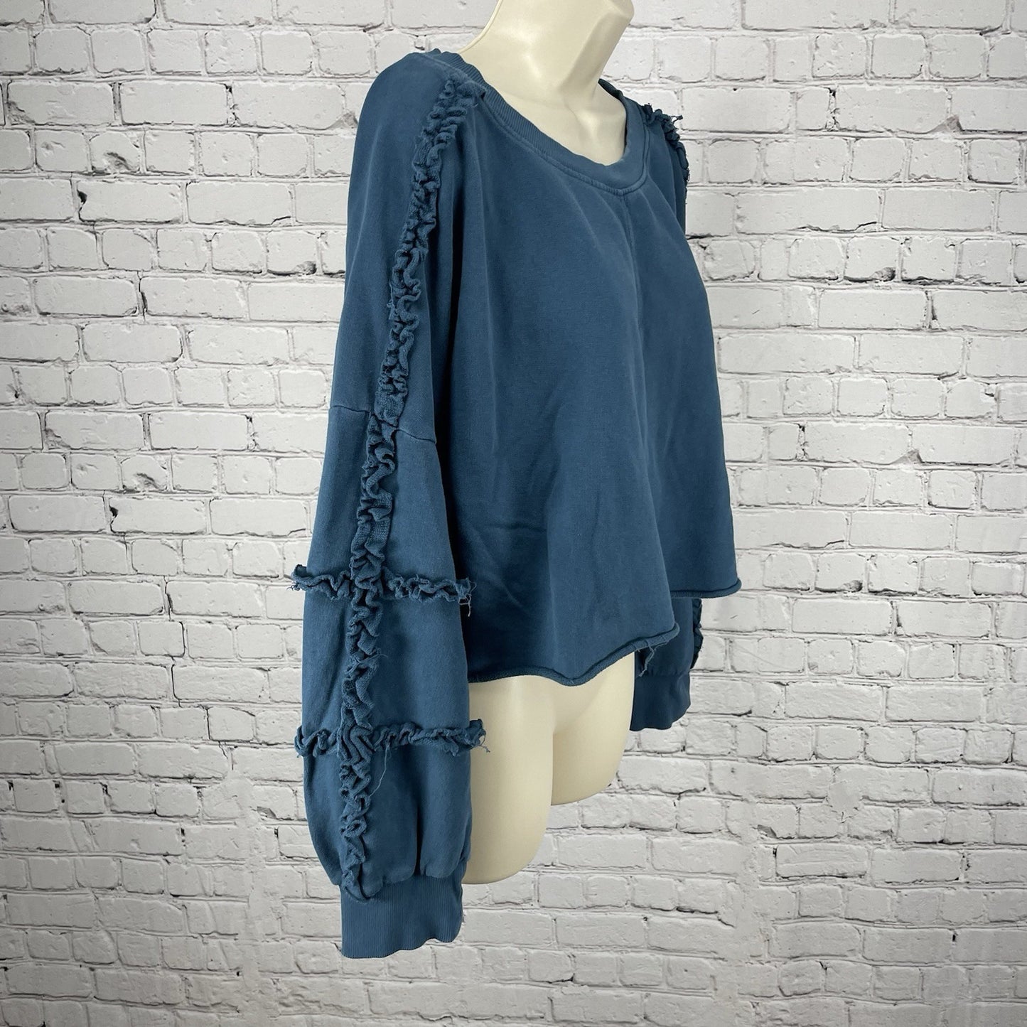 Saturday Sunday Anthropologie Blue Boxy Balloon Sleeve Sweatshirt Size Large L