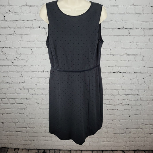 Talbots Black Velvet Trim & Polka Dots Sleeveless Stretch Zipped Dress Size 10P