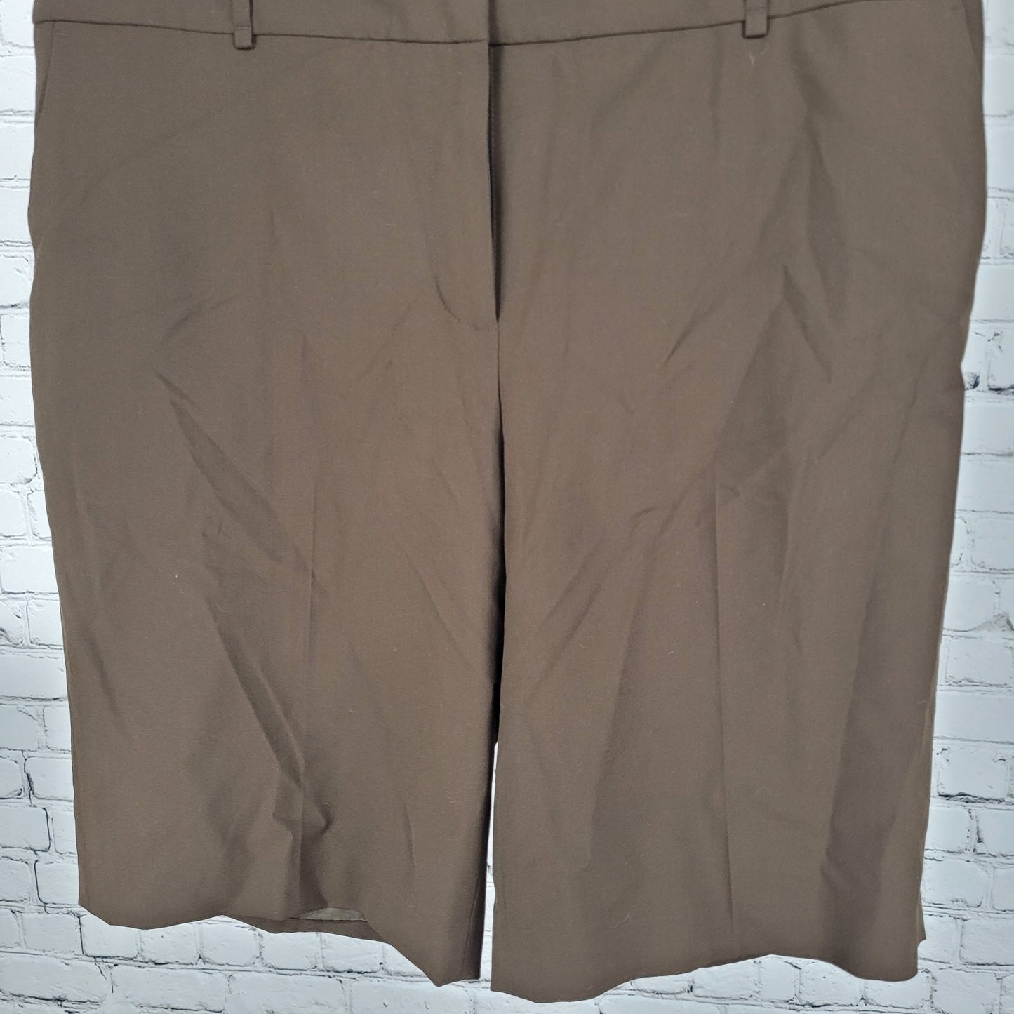 NWT Loft Ann Taylor Brown High Rise Lined Stretch Bermuda Shorts US 16 (36x11.5)